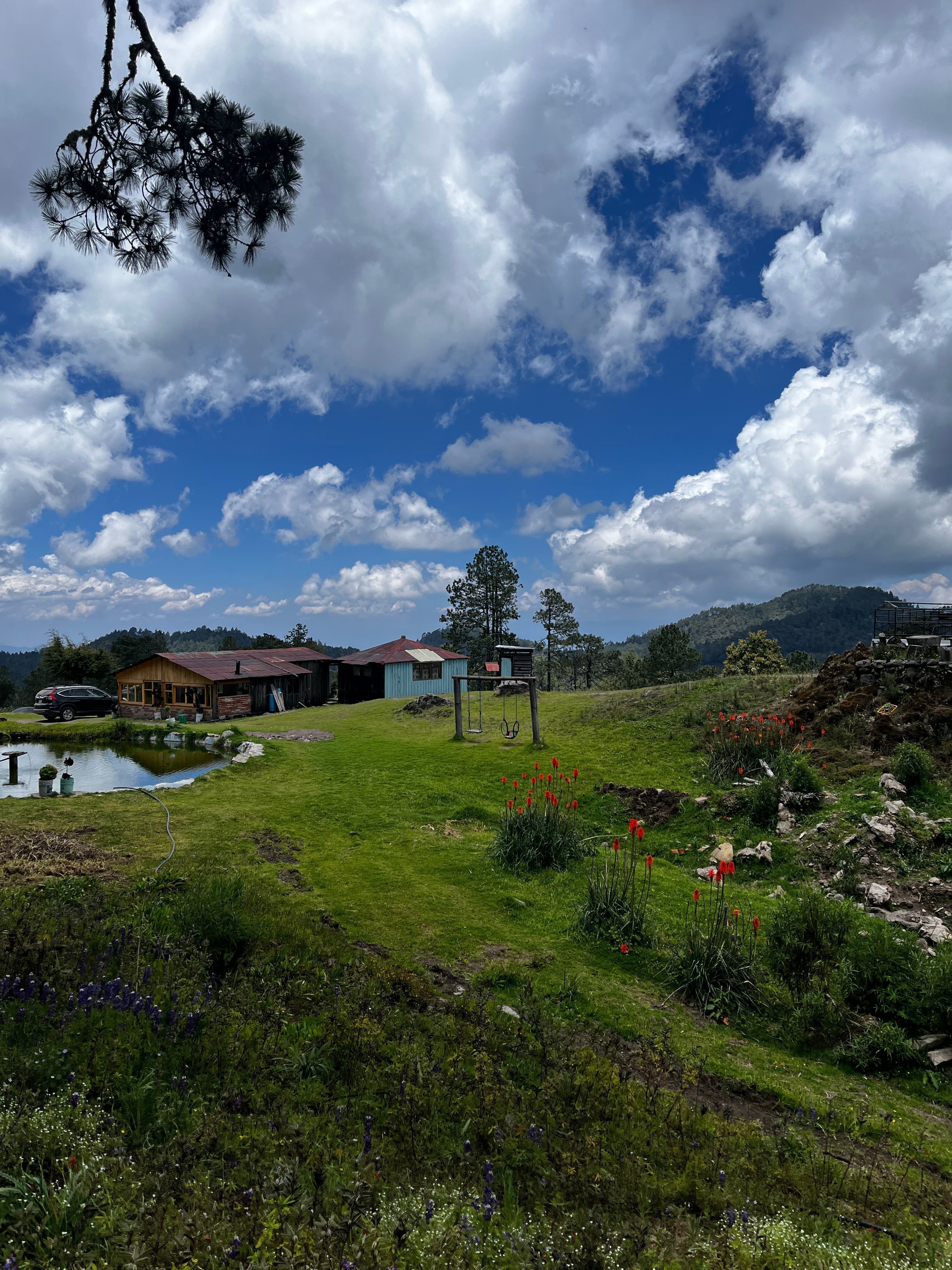 Learning from the Mountains of Oaxaca
